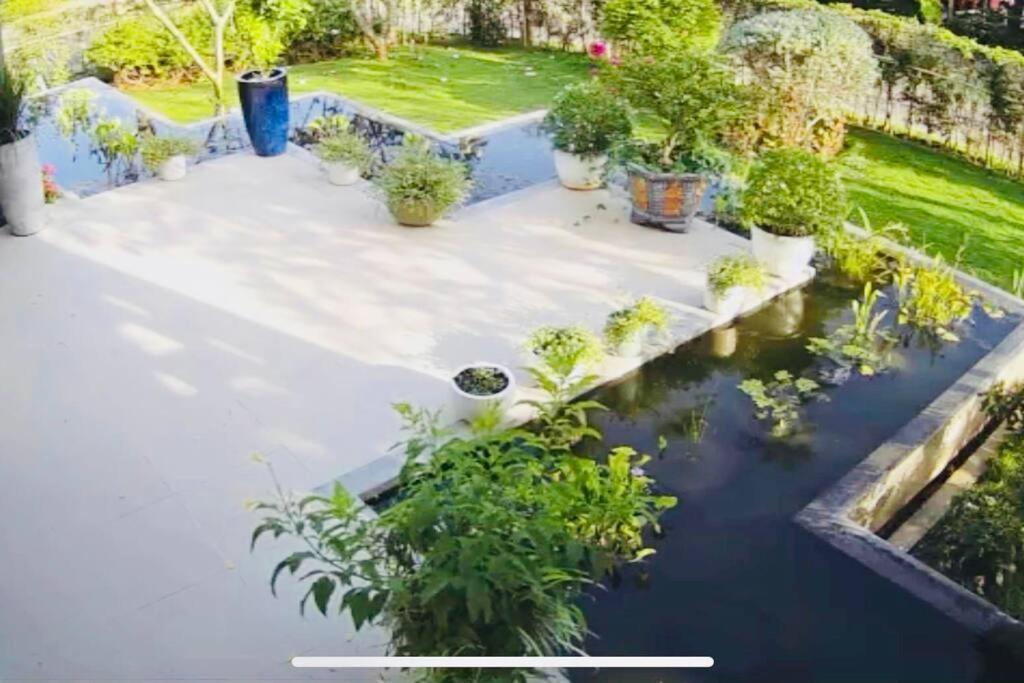 Oceanami Resort - Bali Villa 4Bedrooms, 400M2, Bbq Long Hải Ngoại thất bức ảnh